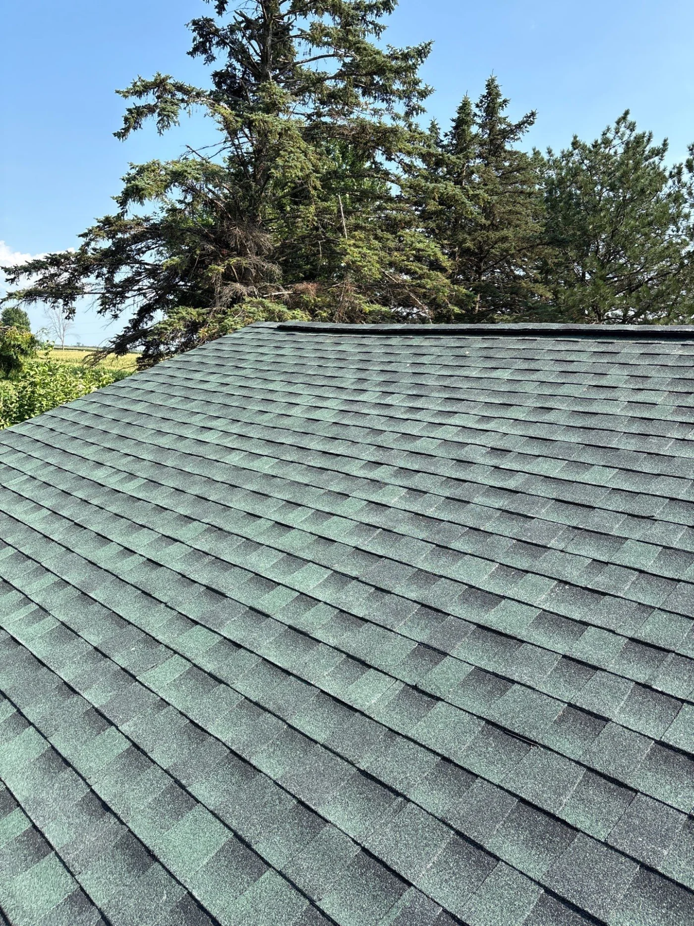 Durable Roof Repair Kaukauna Wi Wisconsin Exteriors A close-up view of an asphalt shingle roof on a house with trees in the background